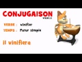 Conseiller conjugaison