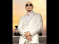 Pitbull 2010