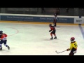 Leonas hockey