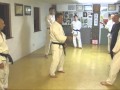 Sansei goju ryu