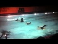 Synchronized swimming