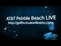Pebble beach