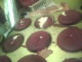 Tangerina cupcakes