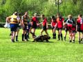 Petirrojos rugby club